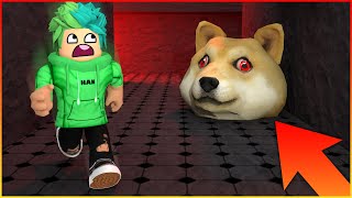 TATLIŞ KEDİLERİ KURTARMAYA ÇALIŞIYORUZ | DOGE HEAD ESCAPE ROBLOX TÜRKÇE | HAN KR