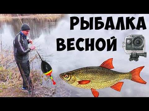 ловить весной красноперку видео ловить весной красноперку видео
