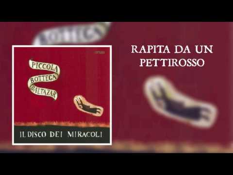 Rapita Da Un Pettirosso Video