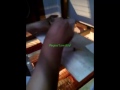 Cara Benar Memberi Makan Anak Lovebird Dengan Spet images Cara Benar Memberi Makan Anak Lovebird Dengan Spet
