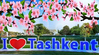 Чё Происходит В Ташкенте | Ностальгия По Ташкенту