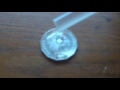Water and Coin Surface Tension Trick - Simple Science Experiment - Easy to do at home