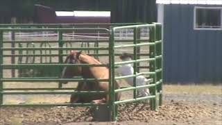 Deadly Goat Attack On A Horse ๐คฃ Unlikely Animal Friendship | Valentine & Nick The Horse #shorts
