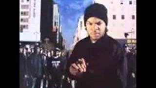 Watch Ice Cube What They Hittin Foe video