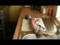 how to skin a rabbit