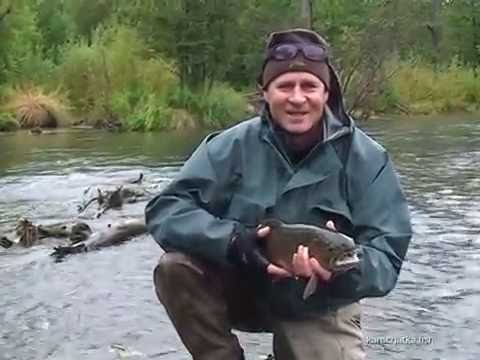 нахлыст на камчатке видео нахлыст на камчатке видео