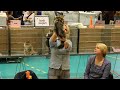 S Just Catnap S Napoleon P Msk Eskilstuna images S Just Catnap S Napoleon P Msk Eskilstuna