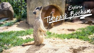 Explore Tierpark Bochum | 2019