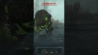 Glowing Gulpers Have A Smiley Face But They Arent Friendly