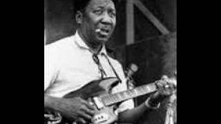 Watch Muddy Waters Garbage Man video