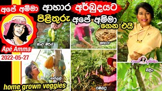 Food crisis in Sri lanka - home grown veggies Apé Amma