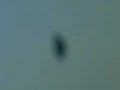 la Bruja de la Catedral de Monterrey / Monterrey´s witch alien
