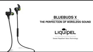 Bluebuds X Proper Fit Tutorial
