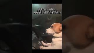 Artesi Gecesi Bizdir