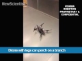 Drone with legs can perch on a branch