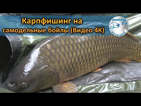 Ловля карпа на самодельное бойлов Ловля карпа на самодельное бойлов