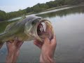 Fishing the Strike King KVD Swim Jig (Hat Cam Bass)