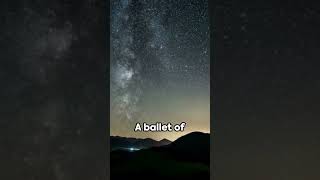 Galactic Halo Stars A Glimpse Into The Past