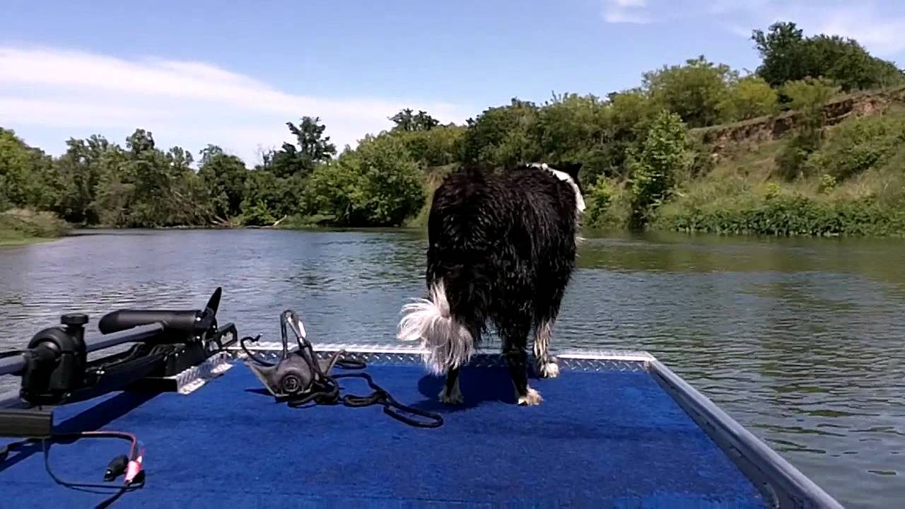 jet boat colorado river jet boating up the lower colorado river texas youtube jet boat colorado river jet boating up the lower colorado river texas youtube