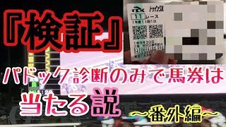 【競馬検証】パドック診断のみで馬券は当たる説~番外編~【実践】