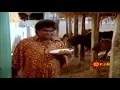 Telugu best comedy || Mamagaru Movie.