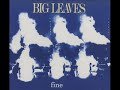 Fingertip World - Big Leaves