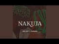 Nakuja (feat. Hamadai)