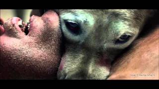The Abcs Of Death 2012 Full Review