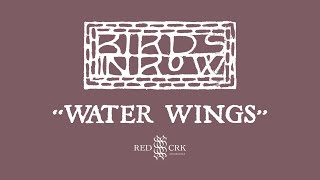 Watch Birds In Row Water Wings video