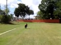 DE NEGRO 08