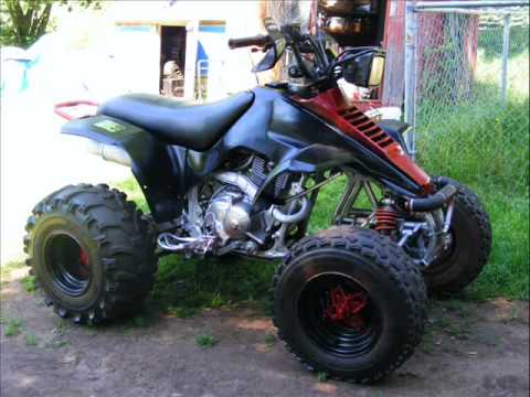 Suzuki 230
