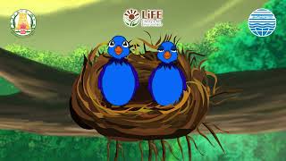 Tnpcb - The Colourful Nest