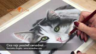 Cica Rajz - Pasztell Ceruzával