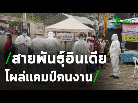 แคมป์คนงานหลักสี่ เจอสายพันธุ์อินเดีย 15 ราย | 22-05-64 | ข่าวเช้าไทยรัฐ เสาร์-อาทิตย์