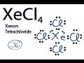 XeCl4 Lewis Structure: How to Draw the Lewis Structure for XeCl4 (Xenon Tetrachloride)