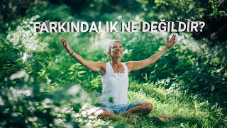 Farkındalık Ne Değildir? Narsisten Sonra İyileşme 102 7. Ders Narsisizm