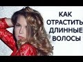 Как я отрастила длинные волосы / How to grow long hair