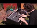 Bibio