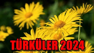 Türküler 2024 Türk Halk Müzi̇ği̇