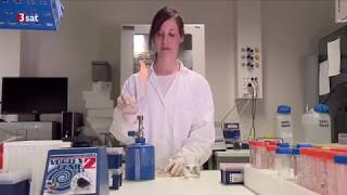 Antibiotika vs resistente Keime - Wettlauf gegen die Zeit