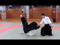 Aikido Highlight - Shirakawa Ryuji sensei