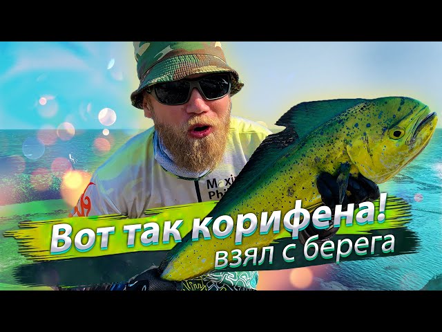 ВОТ ЭТО КОРИФЕНА! Морская рыбалка с берега. Сёрфтроллинг. 2019/08