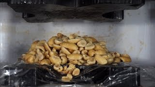 Peanuts Turned To Peanut Butter By Hydraulic Press