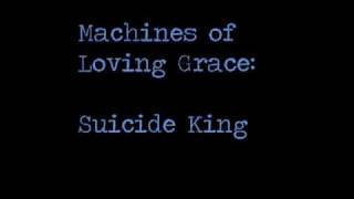 Watch Machines Of Loving Grace Suicide King video
