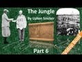 Part 6 - The Jungle by Upton Sinclair (Chs 23-25)