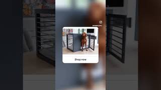 Moderno Dog Crate Collection