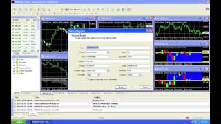 Urban forex support and resistance strategy