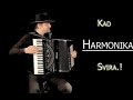 Kad - HARMONIKA - Svira.!