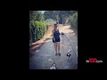 Hülya Avşar 3 köpeğini birden gezdirmeye kalkarsa