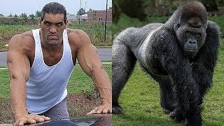 25 WWE WRESTLERS Who Look Alike ANIMALS ? 2018